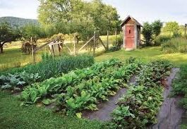 Organic Gardening