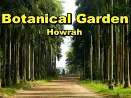 Botanical garden