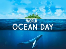 World Oceans Day : Do You Know Why World Oceans Day Is Celebrated Every Year On 8th June? Read On To Know